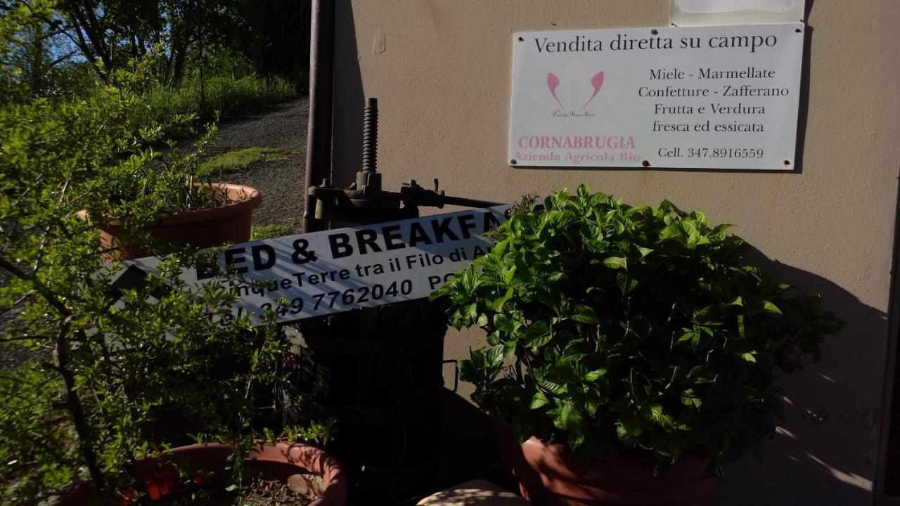 Bed and Breakfast Cinque Terre Tra Il Filo Di Arianna Riccò del Golfo di Spezia Exterior foto